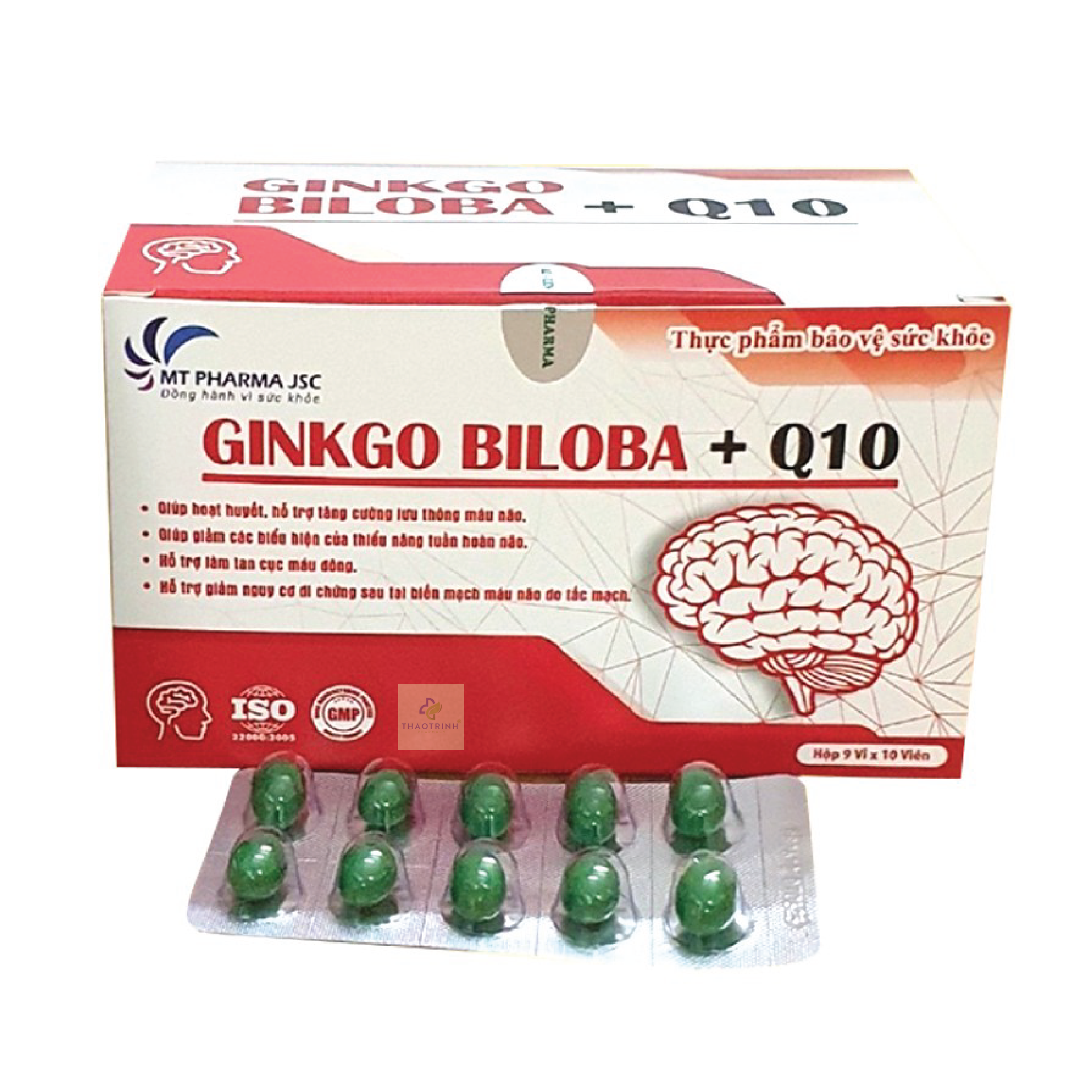 Viên hoạt huyết Ginkgo Biloba + Q10 DMT (Hộp 90 viên)
